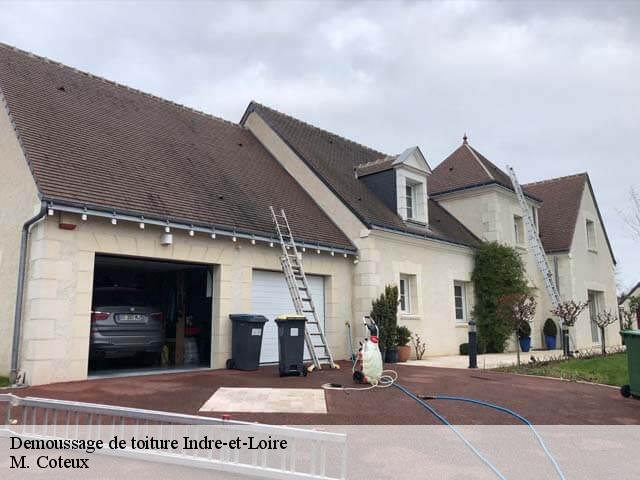 Demoussage de toiture Indre-et-Loire 