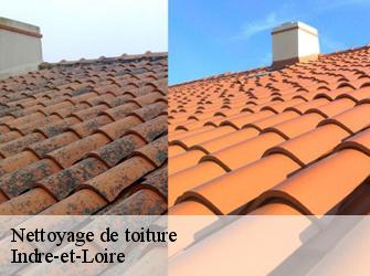 Nettoyage de toiture Indre-et-Loire