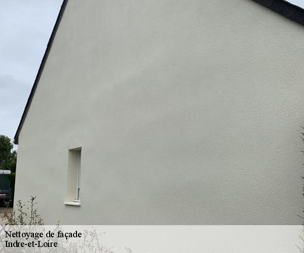 Nettoyage de façade Indre-et-Loire