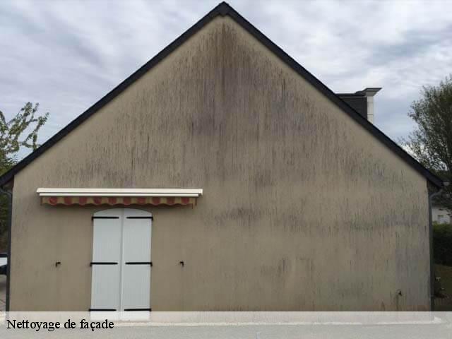 Nettoyage de façade Indre-et-Loire 