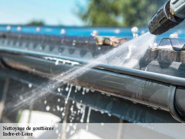 Nettoyage de gouttières Indre-et-Loire