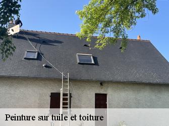 Peinture sur tuile et toiture Indre-et-Loire 