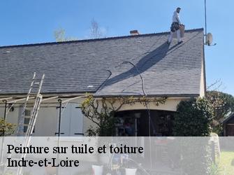 Peinture sur tuile et toiture Indre-et-Loire 