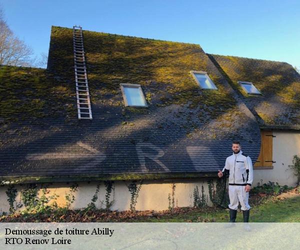 Demoussage de toiture  abilly-37160 M. Coteux