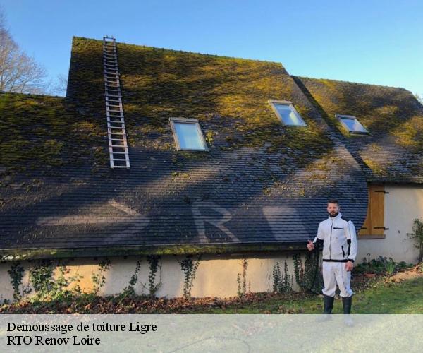 Demoussage de toiture ligre-37500 M. Coteux