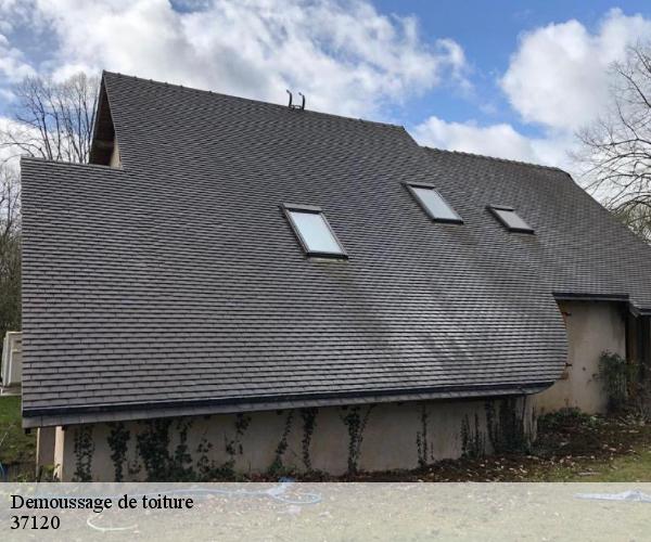 Demoussage de toiture 37120