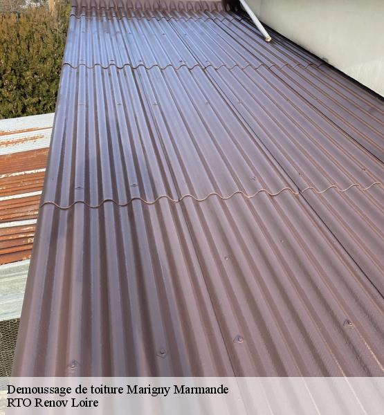 Demoussage de toiture 37120