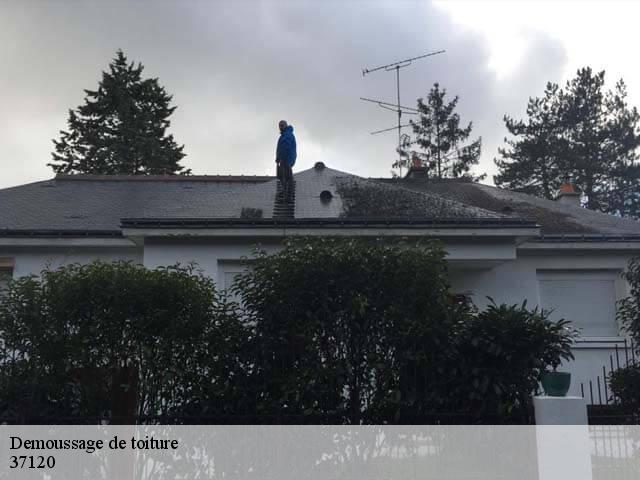 Demoussage de toiture 37120
