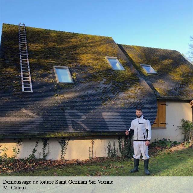 Demoussage de toiture  saint-germain-sur-vienne-37500 M. Coteux