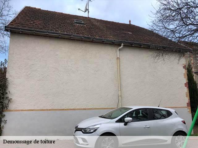 Demoussage de toiture  37340