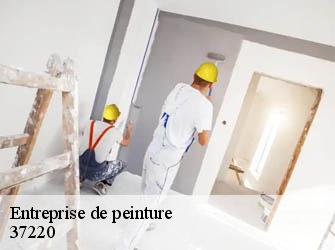 Entreprise de peinture  37220