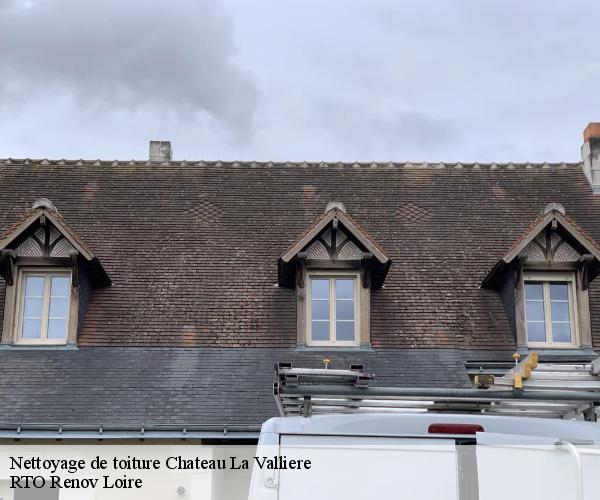 Nettoyage de toiture  chateau-la-valliere-37330 M. Coteux