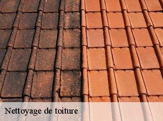 Nettoyage de toiture  37340