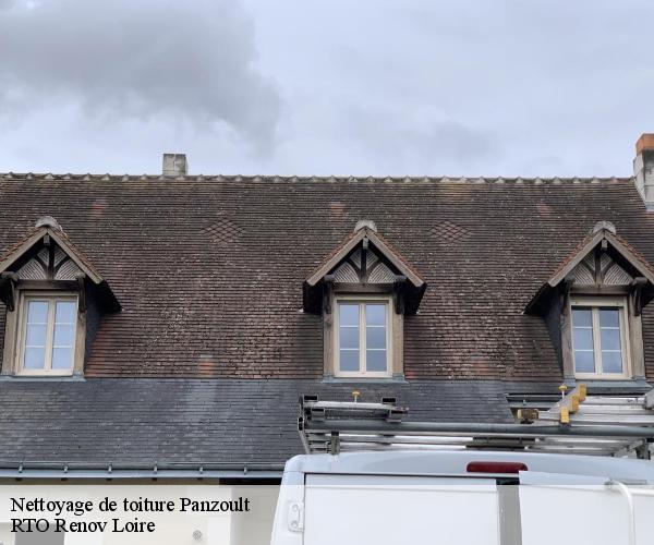 Nettoyage de toiture panzoult-37220 M. Coteux
