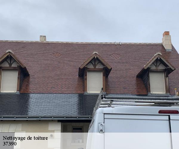 Nettoyage de toiture 37390