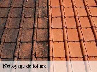 Nettoyage de toiture 37390