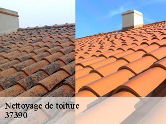 Nettoyage de toiture 37390