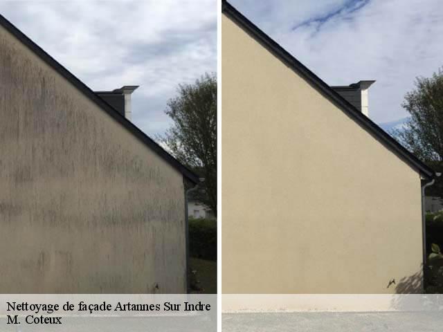 Nettoyage de façade  artannes-sur-indre-37260 M. Coteux