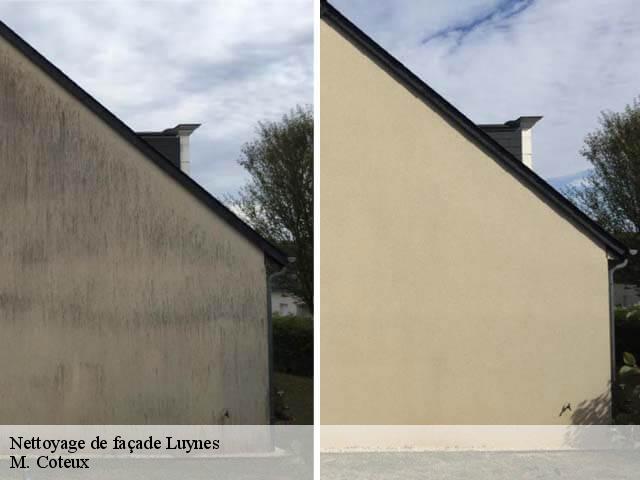 Nettoyage de façade  luynes-37230 M. Coteux