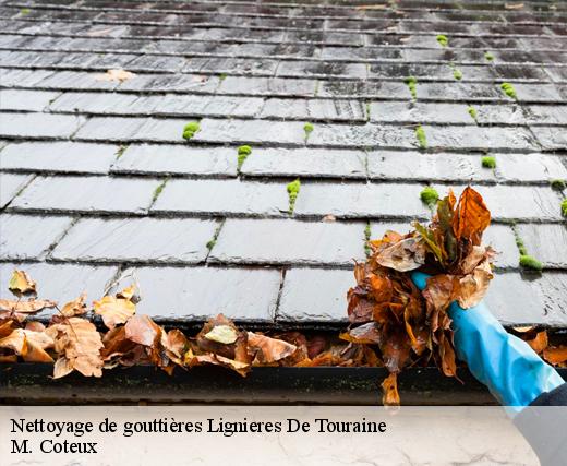 Nettoyage de gouttières  lignieres-de-touraine-37130 M. Coteux