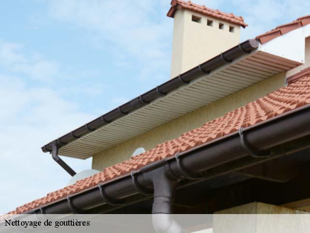 Nettoyage de gouttières 37330