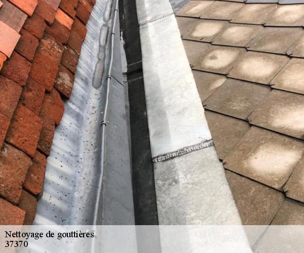 Nettoyage de gouttières 37370