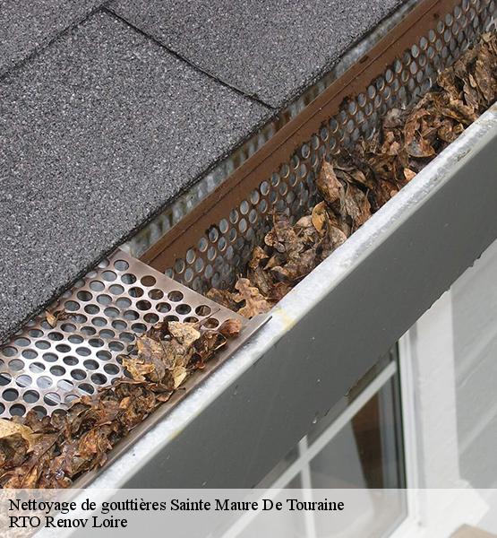 Nettoyage de gouttières 37800
