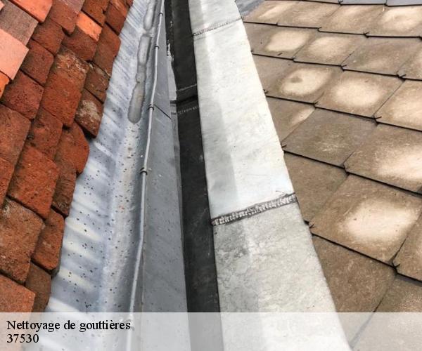 Nettoyage de gouttières 37530