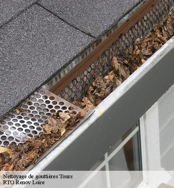 Nettoyage de gouttières 37000