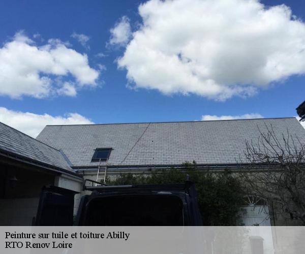 Peinture sur tuile et toiture abilly-37160 M. Coteux