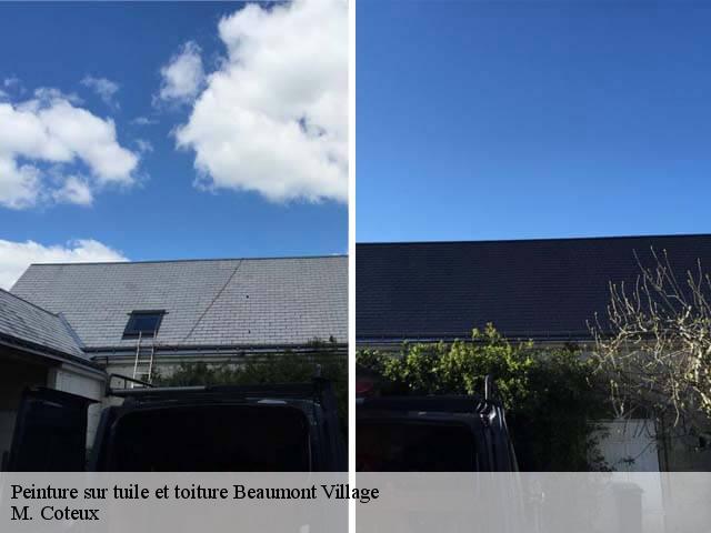 Peinture sur tuile et toiture  beaumont-village-37460 M. Coteux