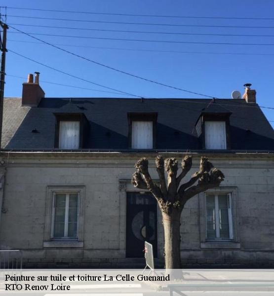 Peinture sur tuile et toiture 37350