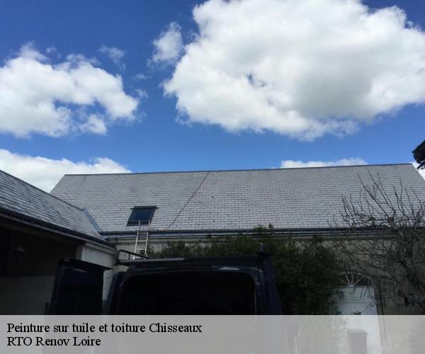 Peinture sur tuile et toiture chisseaux-37150 M. Coteux