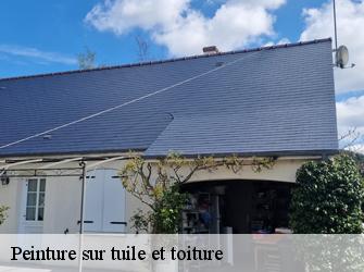 Peinture sur tuile et toiture