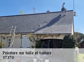 Peinture sur tuile et toiture  37370