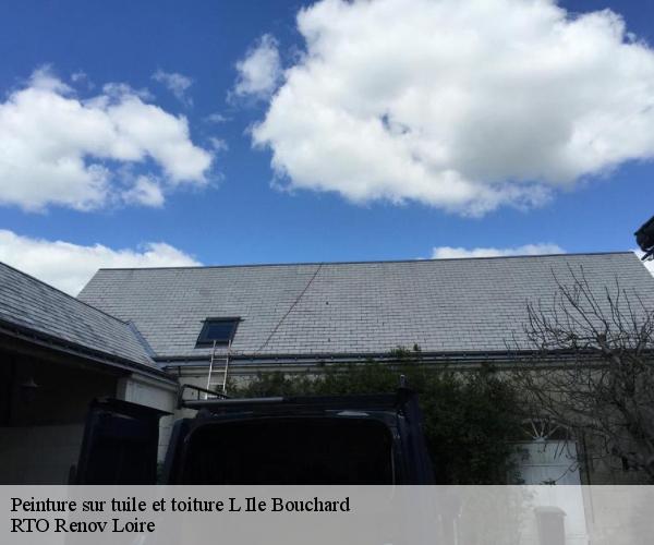 Peinture sur tuile et toiture l-ile-bouchard-37220 RTO Renov Loire