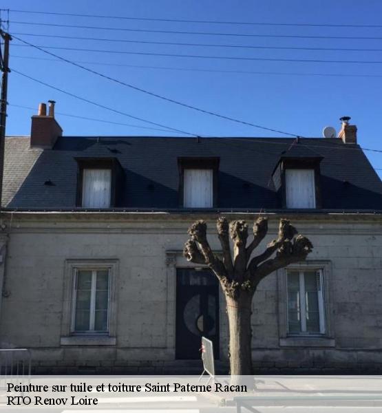 Peinture sur tuile et toiture 37370