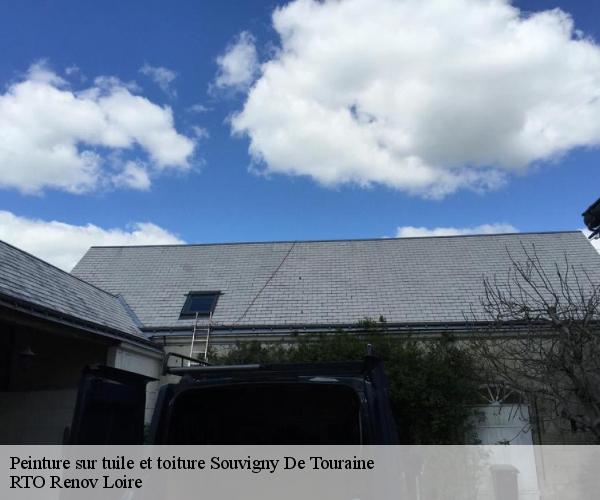 Peinture sur tuile et toiture souvigny-de-touraine-37530 M. Coteux