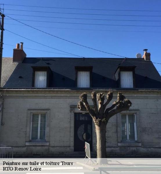 Peinture sur tuile et toiture 37000