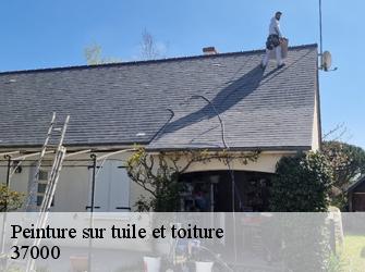 Peinture sur tuile et toiture 37000