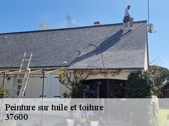 Peinture sur tuile et toiture  37600