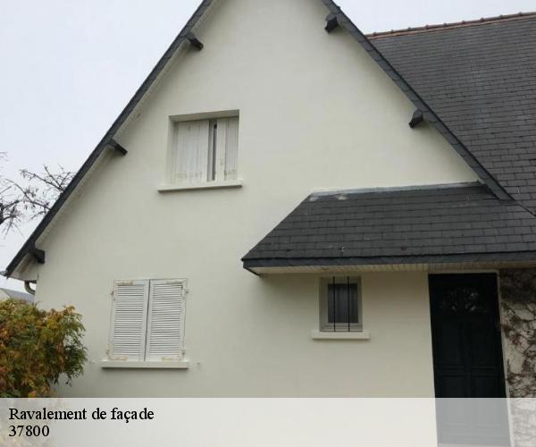 Ravalement de façade 37800