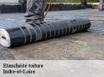 Etanchéité toiture Indre-et-Loire