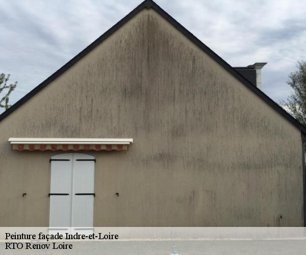 Peinture façade 37 Indre-et-Loire M. Coteux