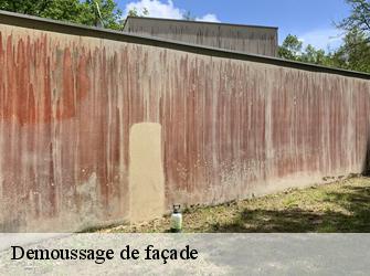 Demoussage de façade Indre-et-Loire 