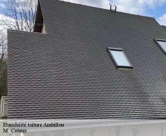 Etanchéité toiture  ambillou-37340 M. Coteux