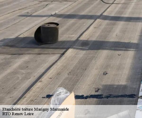 Etanchéité toiture marigny-marmande-37120 M. Coteux