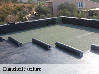 Etanchéité toiture 37530