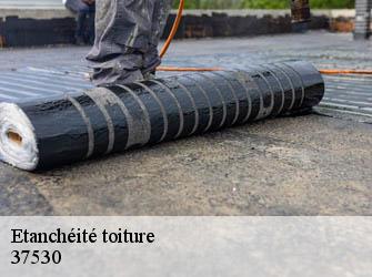 Etanchéité toiture 37530