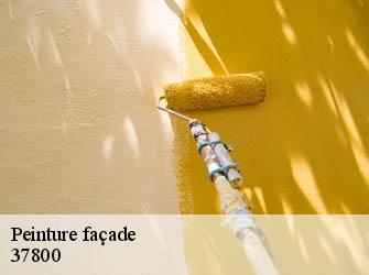 Peinture façade 37800